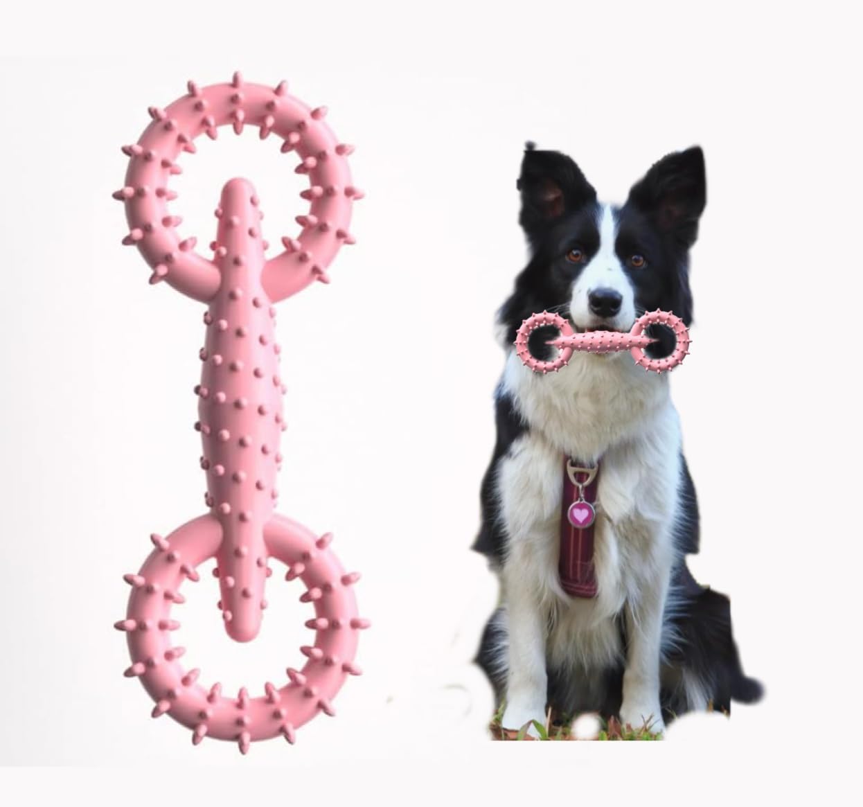 TPR Dog Chew Ring – Safe Puppy Teething Toy