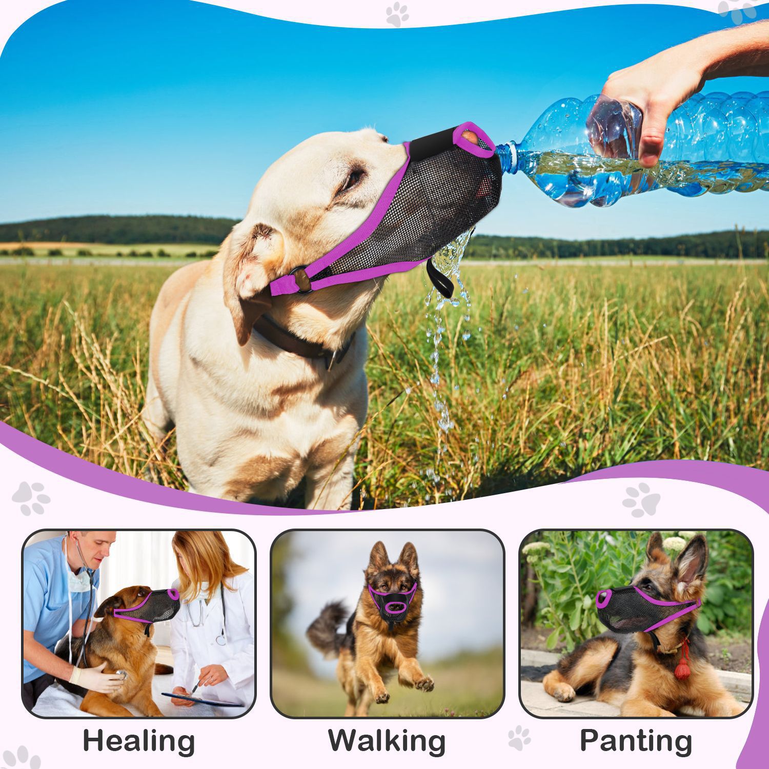 Breathable Mesh Dog Muzzle – Anti-Bite & Anti-Bark