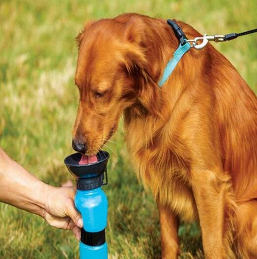 Portable Pet Water Bottle – Outdoor Travel Drinking Cup