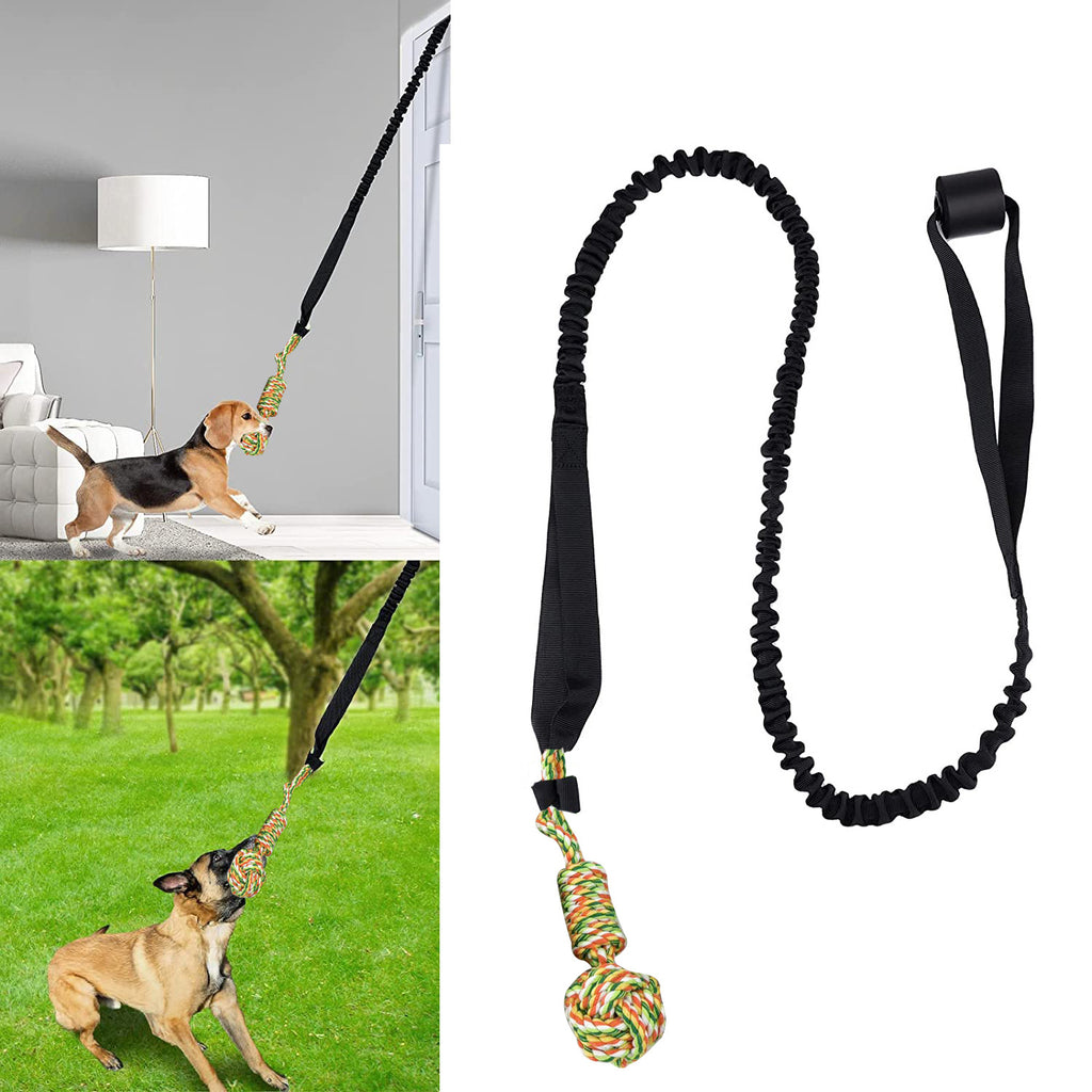Dog Tug of War Rope – Teeth Grinding Toy