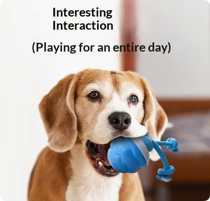 Smart Dog Ball – Rechargeable Interactive Play Toy