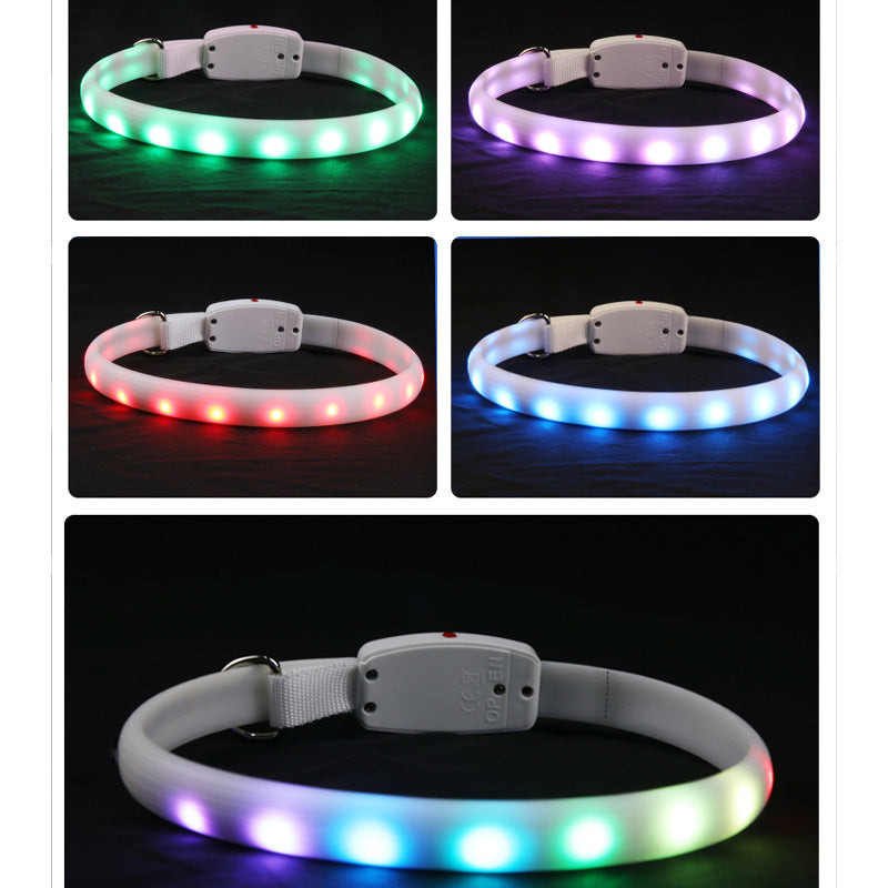 USB Rechargeable LED Dog Collar – Night Safety Glow
