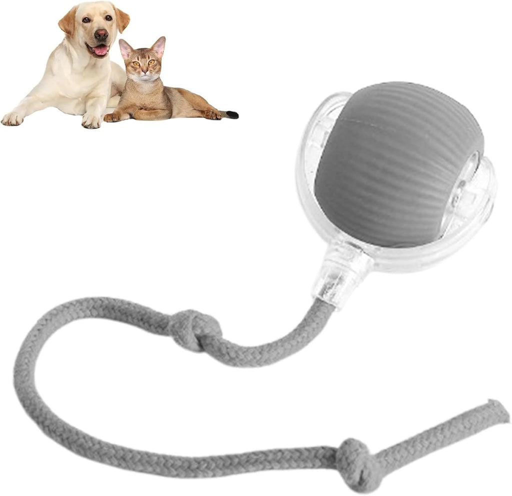 Smart Interactive Ball – Keeps Pets Busy & Entertained