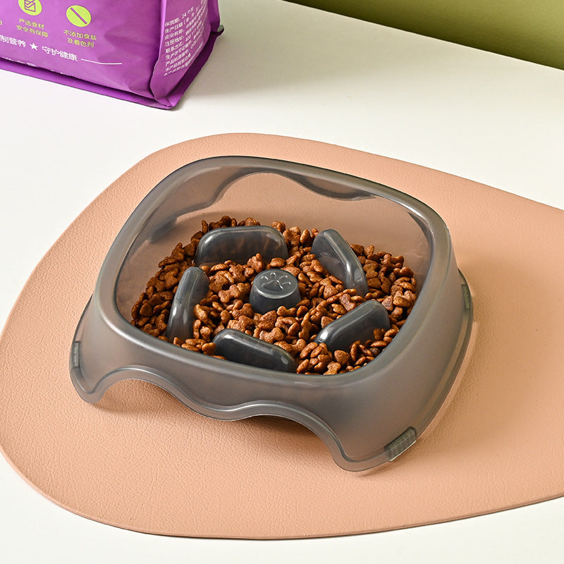 Slow Feeder Dog Bowl – Anti-Choking & Safe Eating