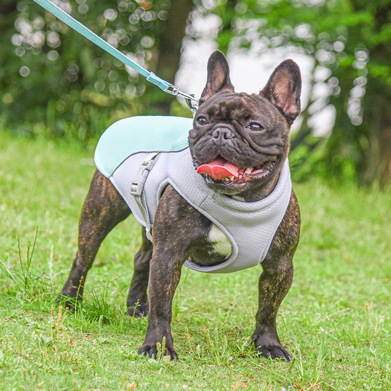 Summer Pet Cooling Vest – Breathable Comfort