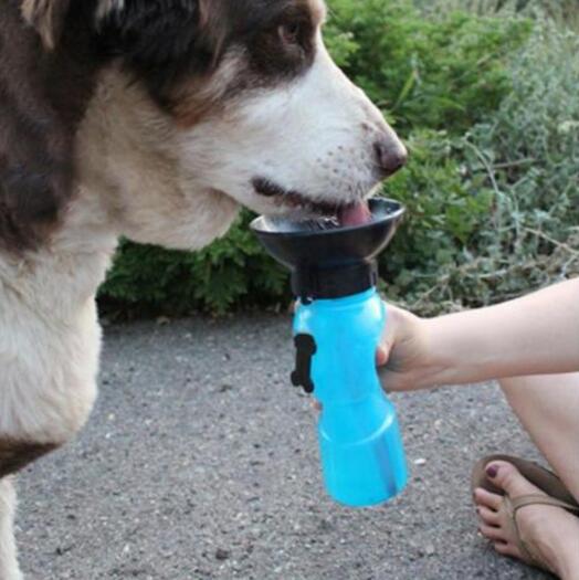 Portable Pet Water Bottle – Outdoor Travel Drinking Cup