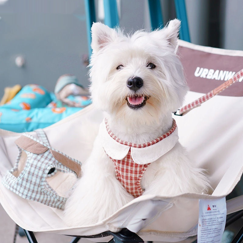 Fashion Small Dog Harness – Vest Rope Style