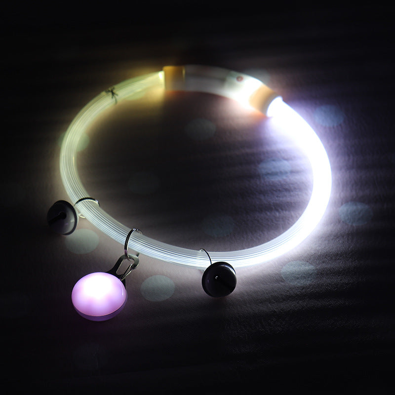 Shiny Luminous Dog Collar – Night Walking Light
