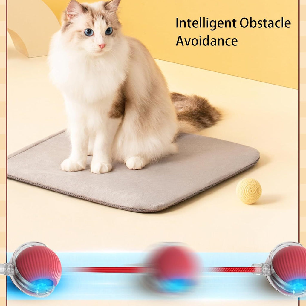 Smart Interactive Ball – Keeps Pets Busy & Entertained