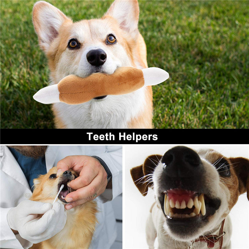 Fashion Dog Plush Toys – Squeaky Game Fun