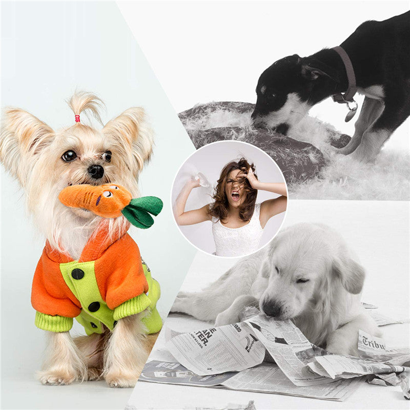 Fashion Dog Plush Toys – Squeaky Game Fun