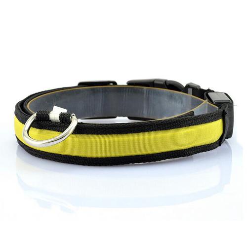 Vibrant LED Dog Collar – Bright Night Glow