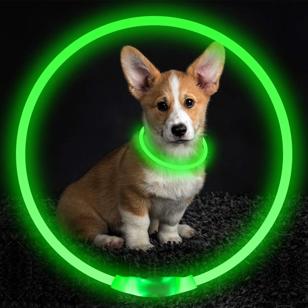 USB Rechargeable Luminous Dog Collar Light