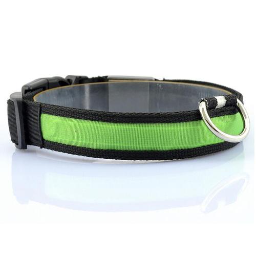 Vibrant LED Dog Collar – Bright Night Glow