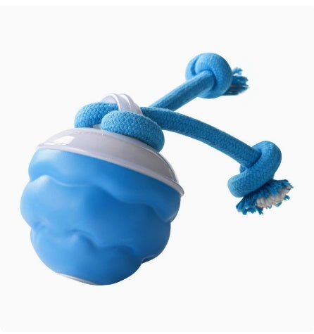 Smart Dog Ball – Rechargeable Interactive Play Toy