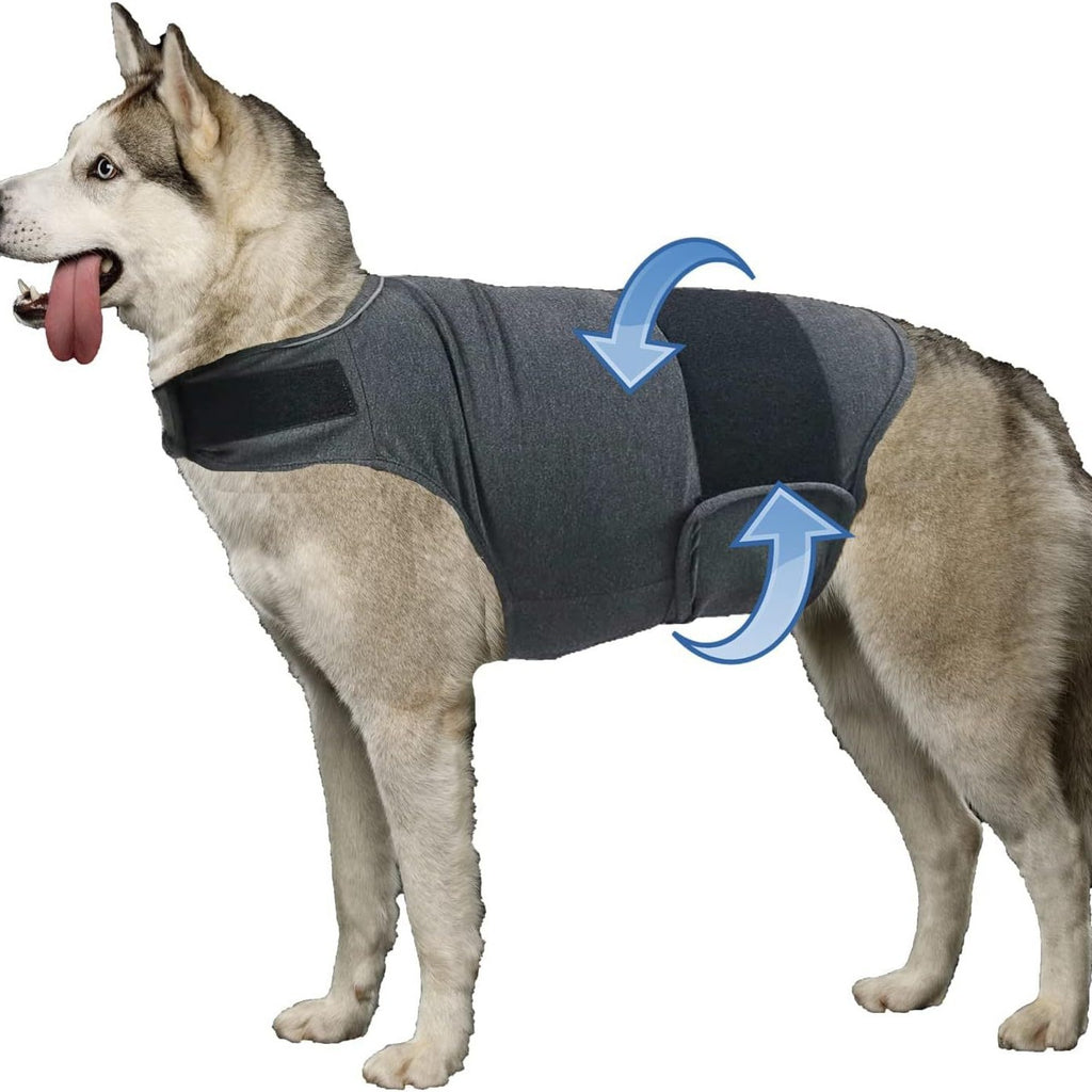 Dog Anxiety Shirt – Thunder Comfort Vest