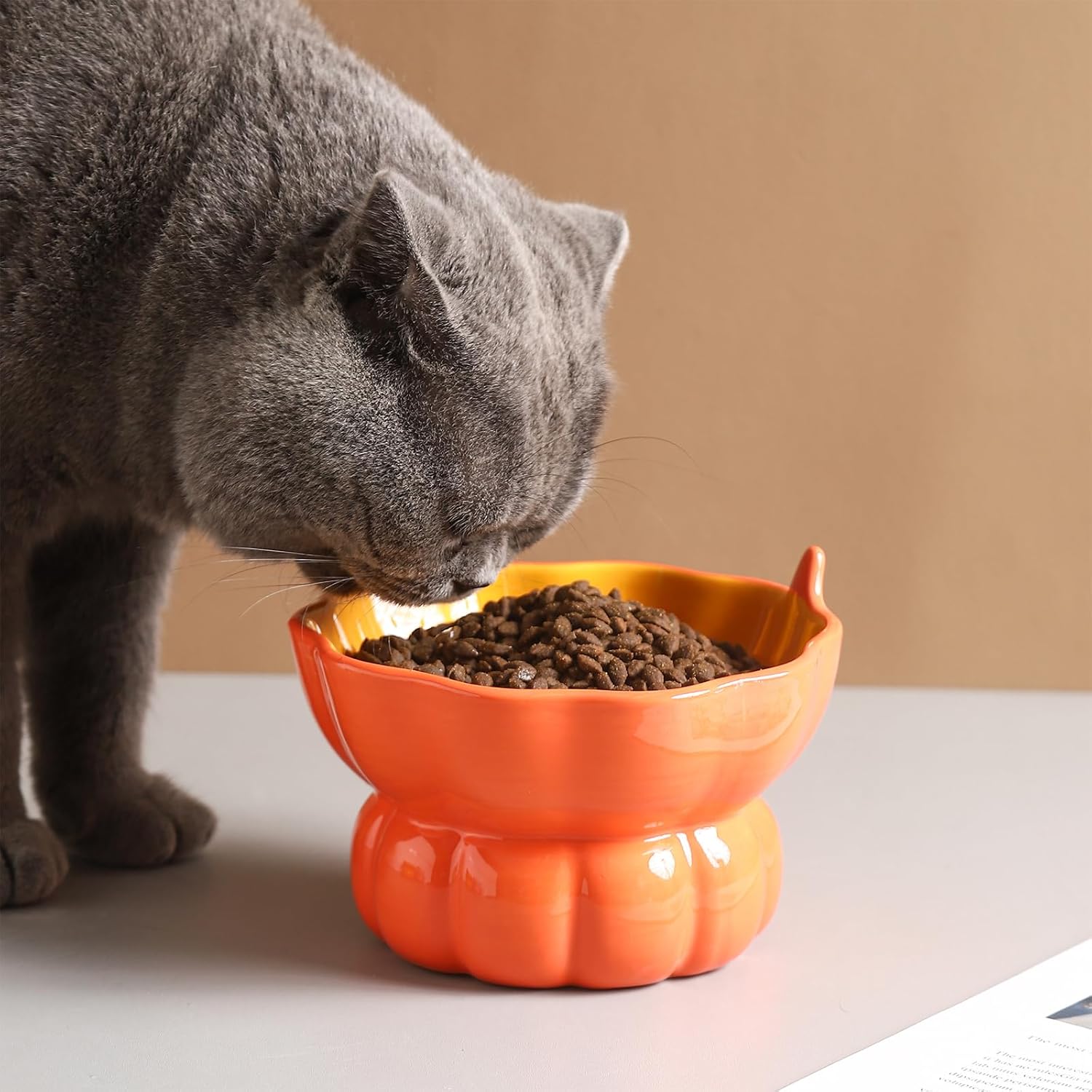 Ceramic Elevated Cat Bowl – Spine Friendly Feeding