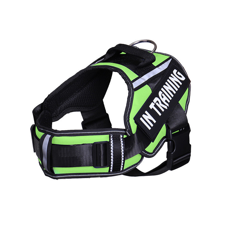 Reflective Dog Leash for Chest Harness – Safe Walking Lead