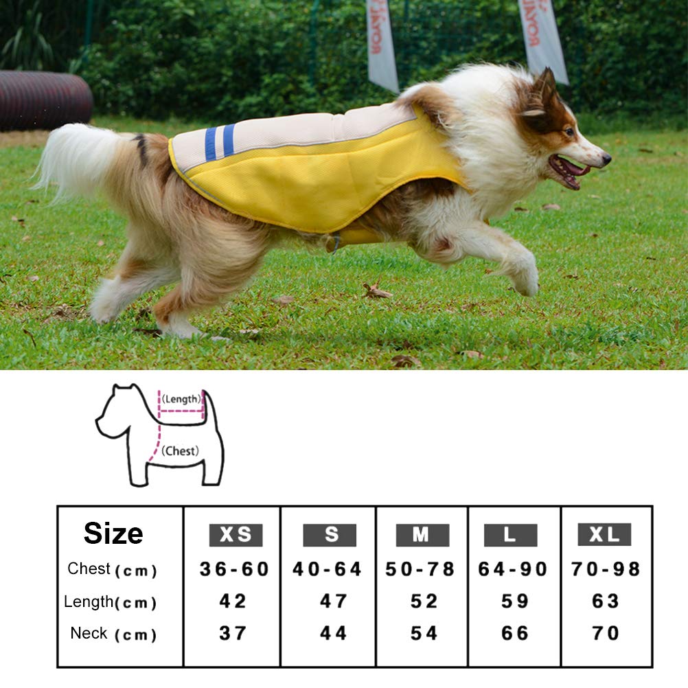 Dog Cooling Vest – Heatstroke Prevention Wear