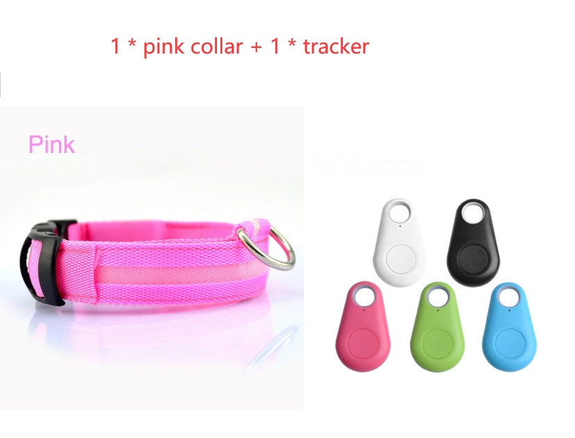 Safety Dog LED Collar – High Visibility Night Light