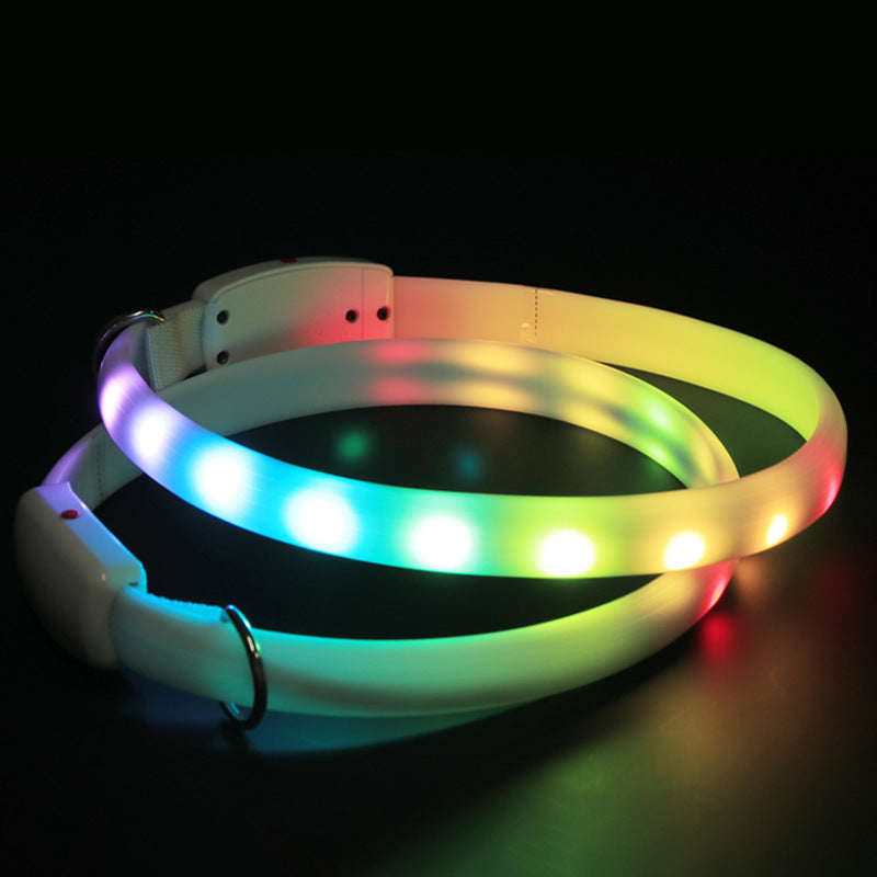 USB Rechargeable LED Dog Collar – Night Safety Glow
