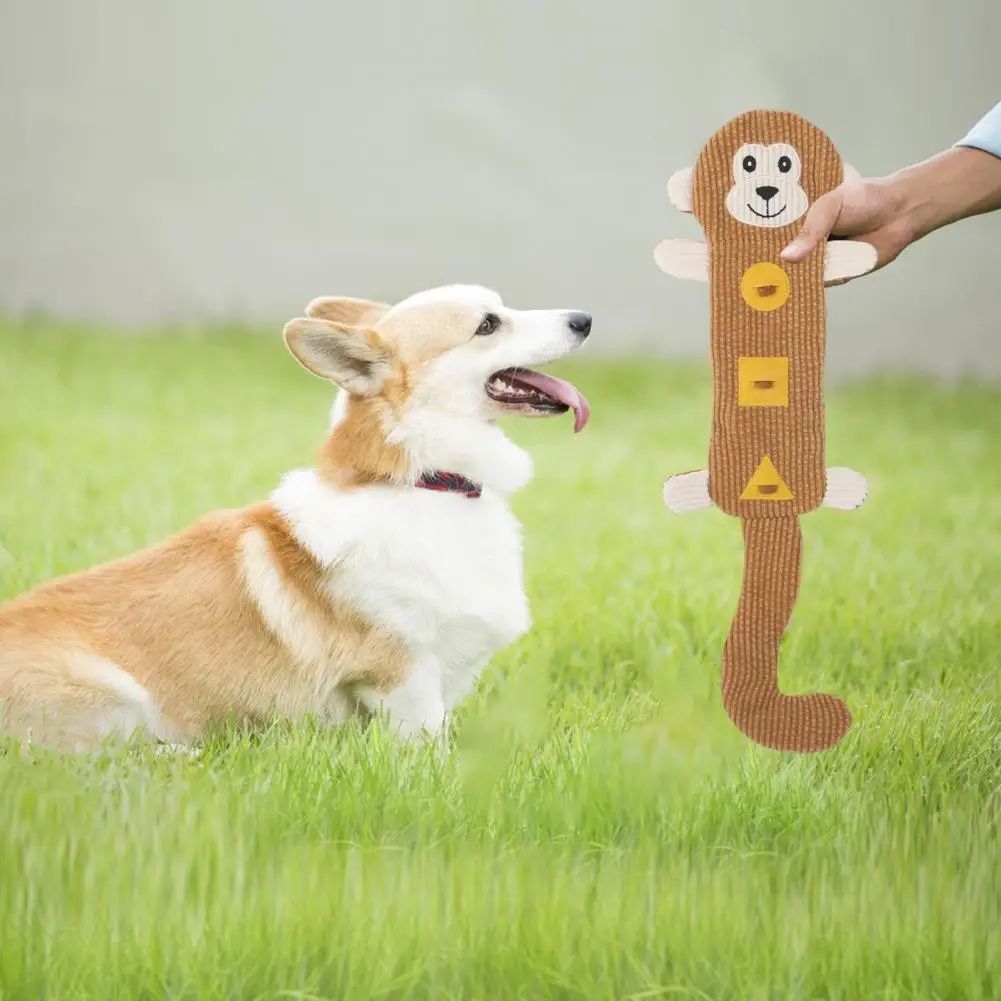 Durable Dog Chew Toy – Squeaky Treat Dispenser