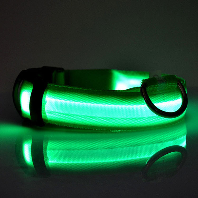 Safety Dog LED Collar – High Visibility Night Light