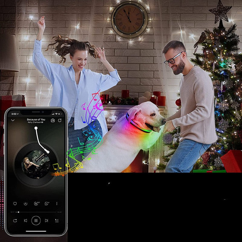 USB Charging Shiny Dog Collar – Night Safety Glow