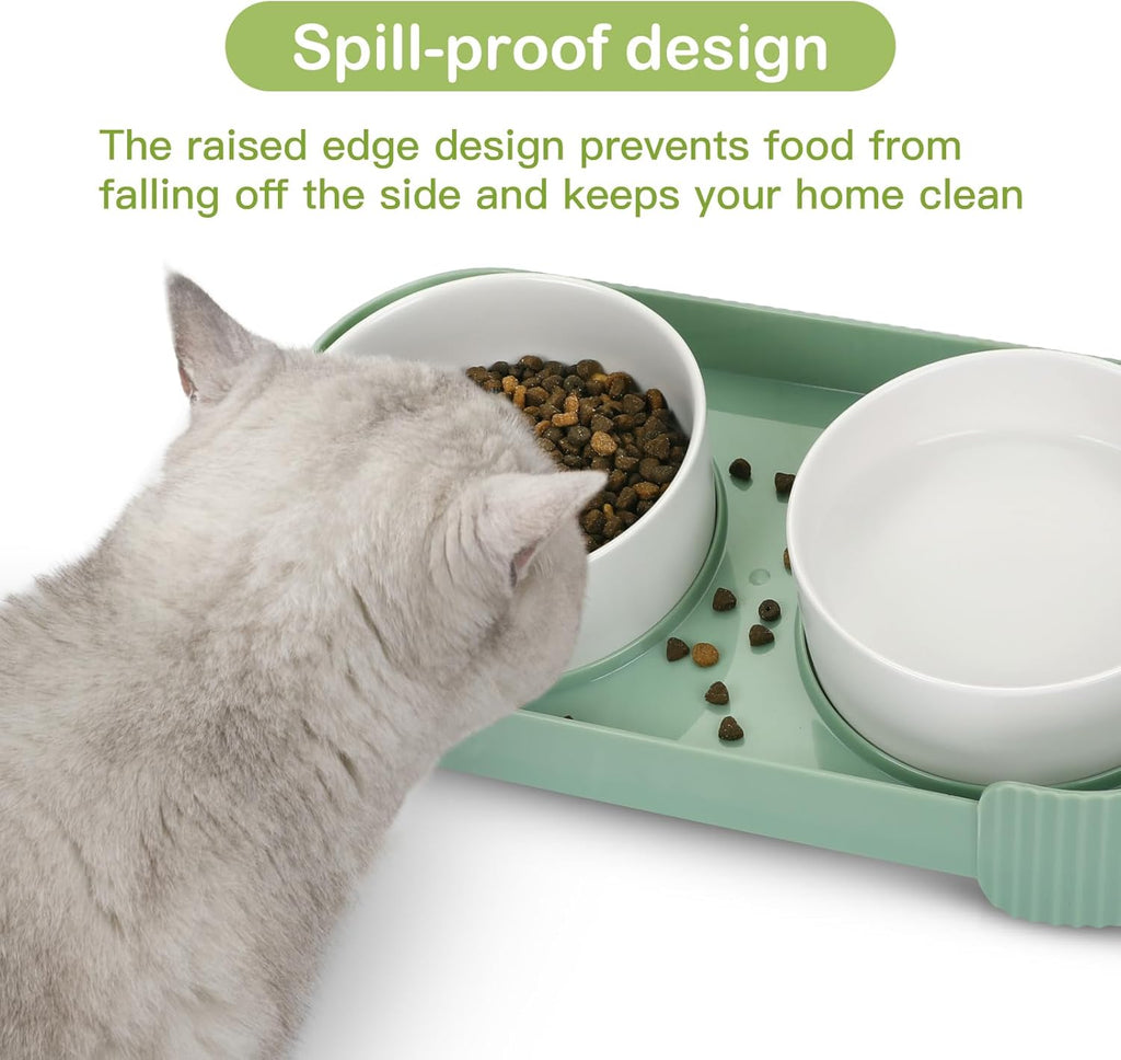 Ceramic Elevated Cat Bowls – Anti Vomit Feeding Set