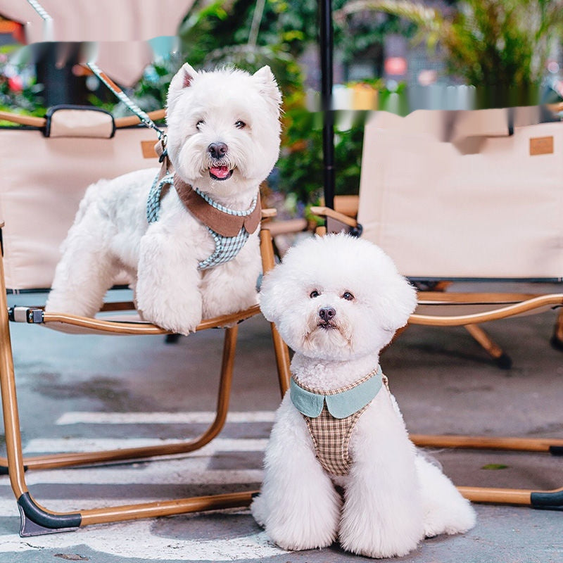 Fashion Small Dog Harness – Vest Rope Style