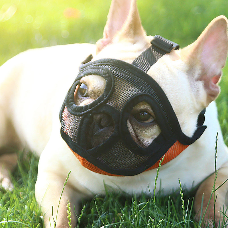 Small Dog Basket Muzzle – Breathable Design