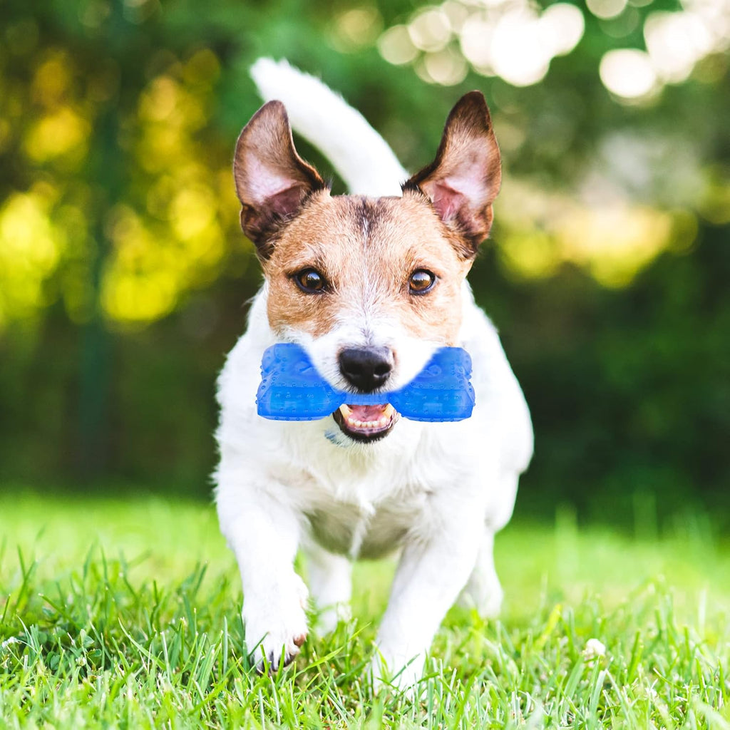 Puppy Teething Toy – Cooling Chew with Treat Slot