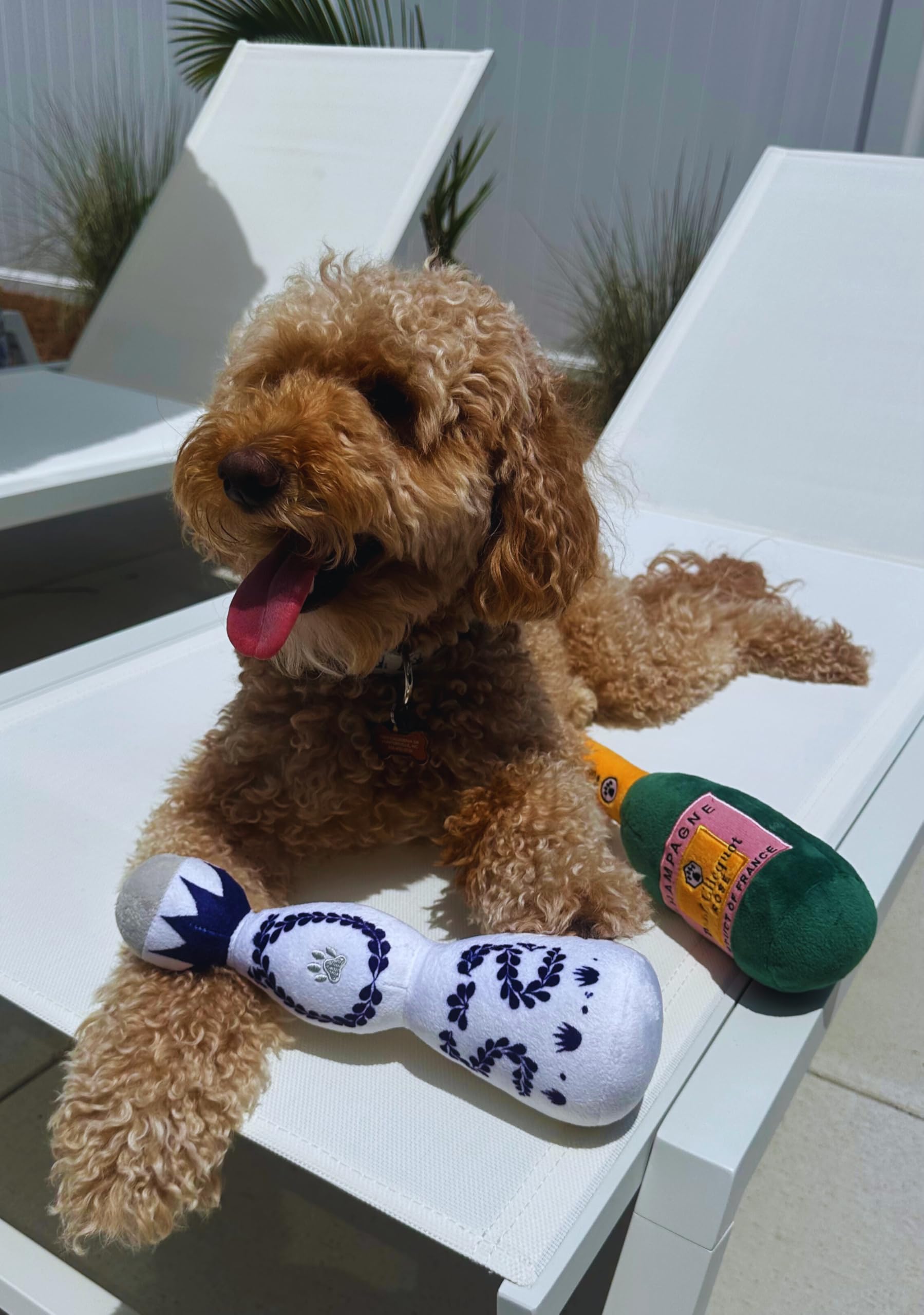Funny Tequila Dog Toy – Plush Squeaky Birthday Gift