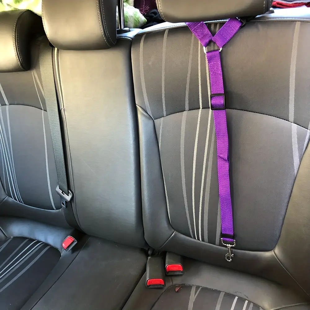 Dog & Cat Car Seat Belt – Travel Safely Anywhere