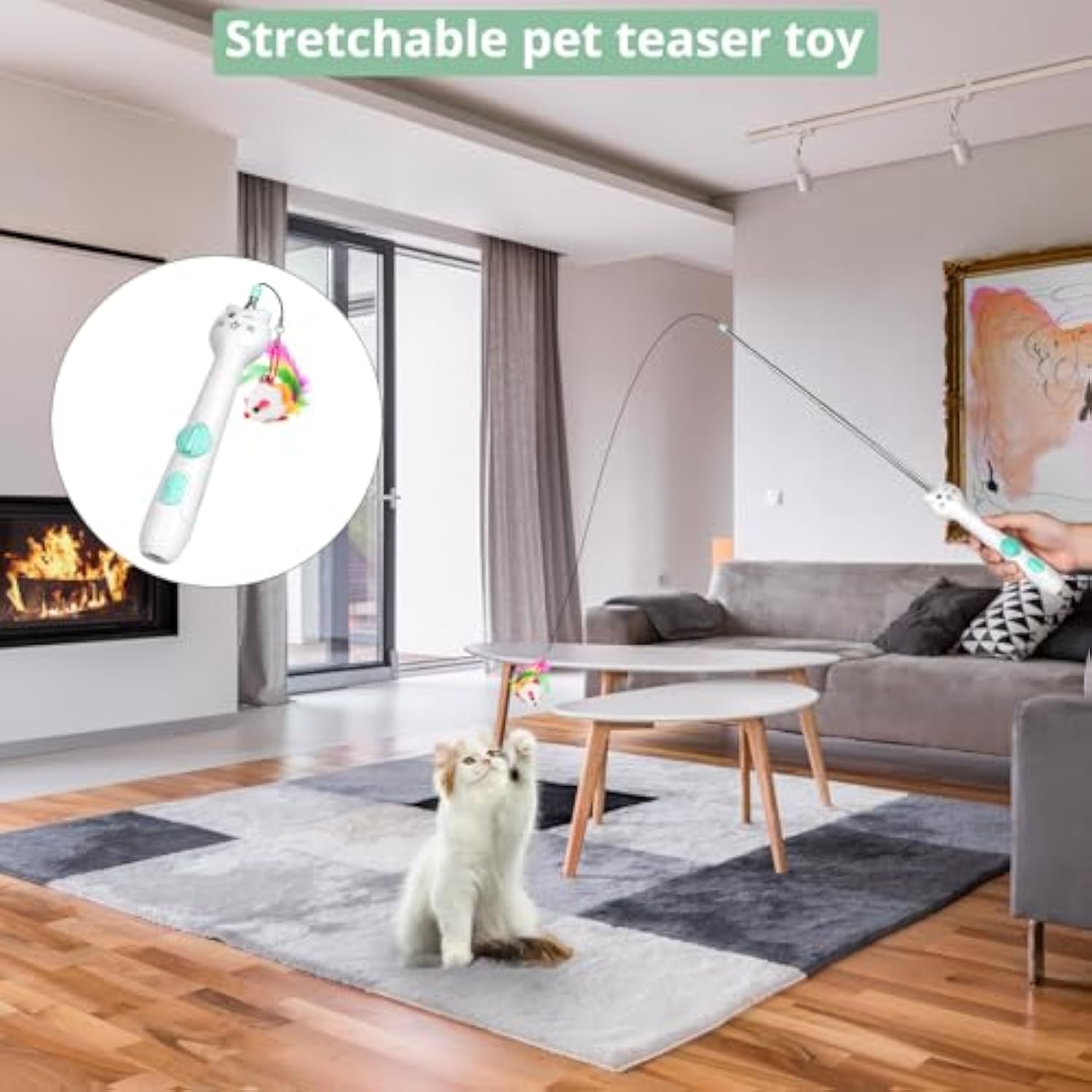 Interactive Cat Toy – Laser Pointer & Feather Wand