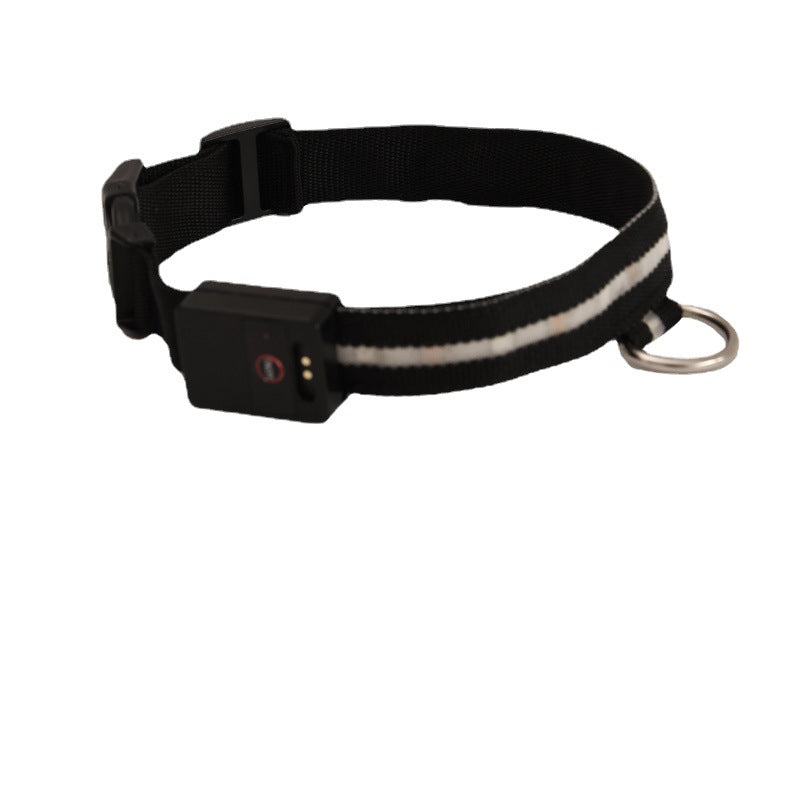 LED Color Luminous Dog Collar – Walking Light