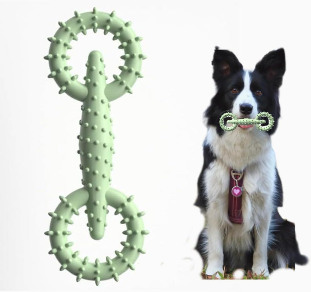 TPR Dog Chew Ring – Safe Puppy Teething Toy