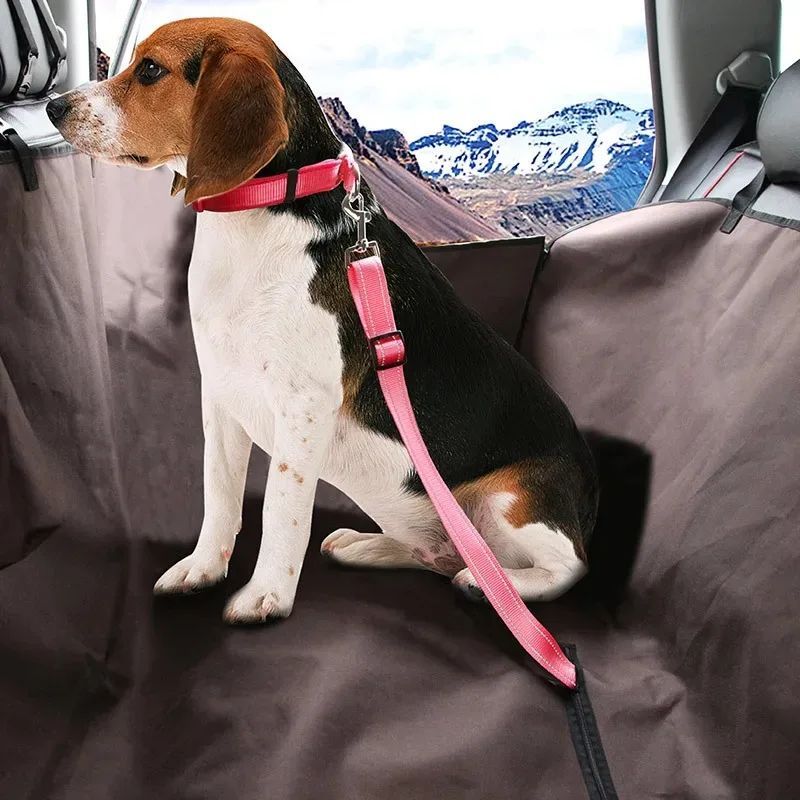Dog Car Seat Belt – Adjustable Harness Leash