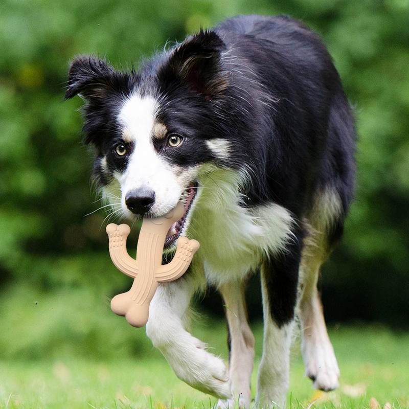 Indestructible Cactus Dog Toy – Tough Chewer Friendly