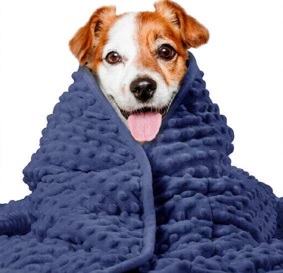 Dog Anxiety Blanket – Washable Thunder Comfort Wrap