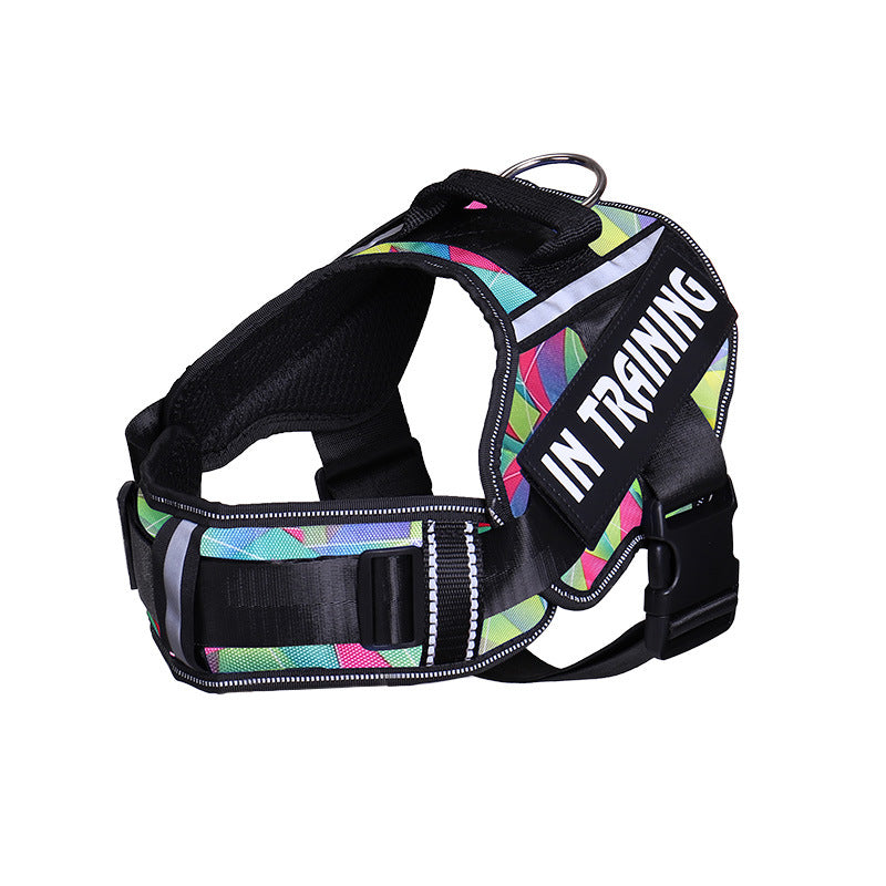Reflective Dog Leash for Chest Harness – Safe Walking Lead