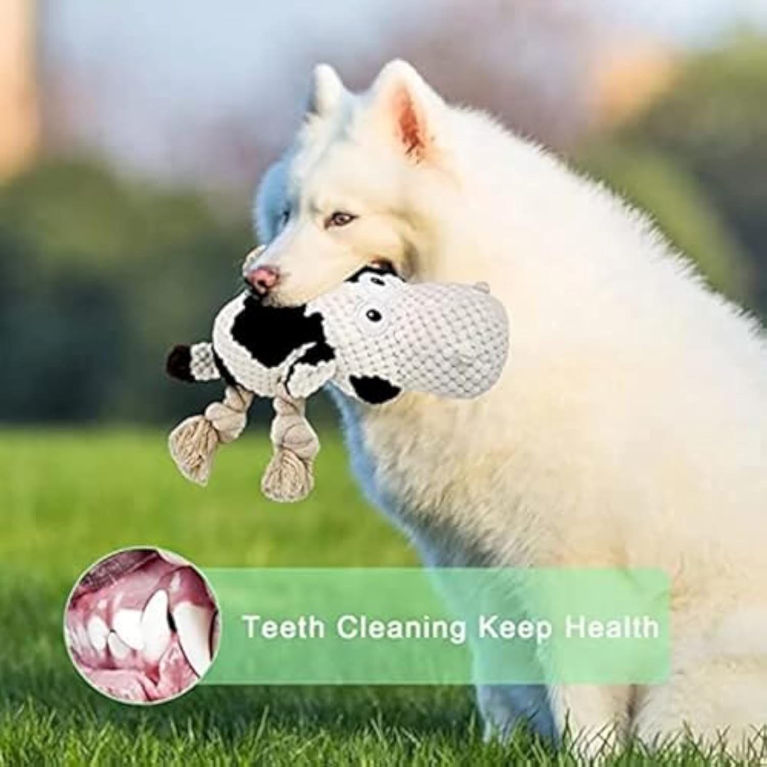 Squeaky Cow Dog Toy – Durable Plush Chew