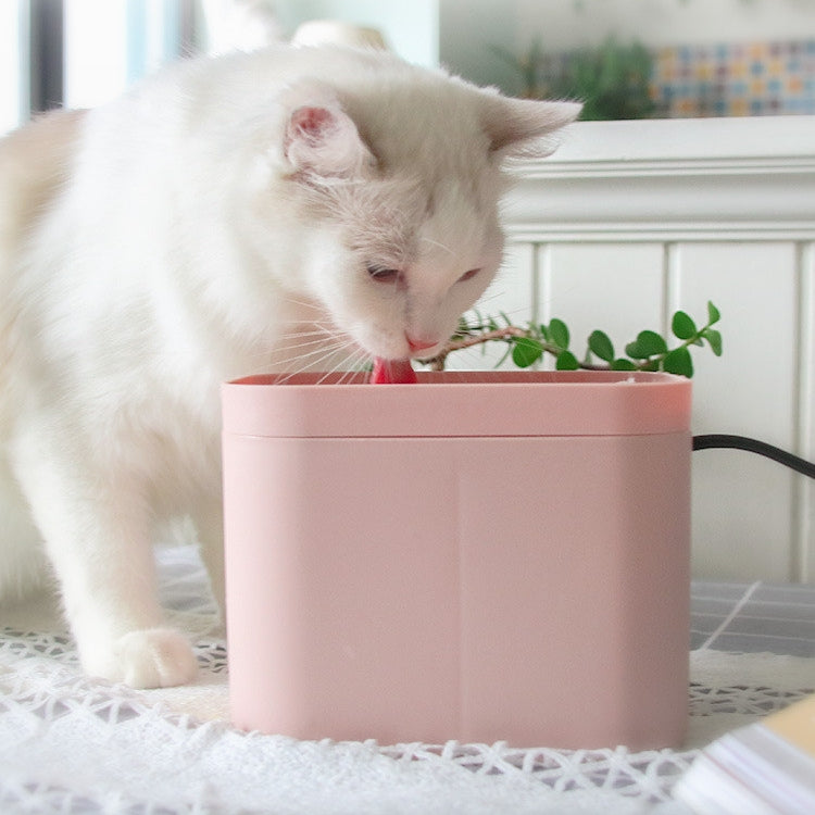 Smart Cat Water Fountain – Fresh Flowing Drinking Water