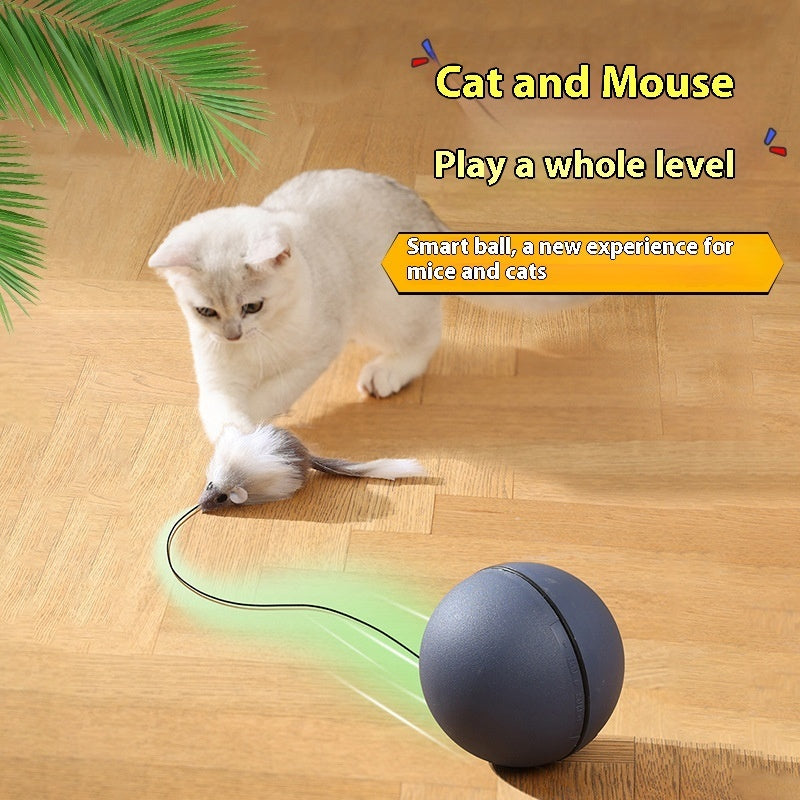 Electric Teaser Ball – Automatic Rolling Cat Toy