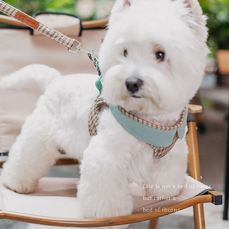Fashion Small Dog Harness – Vest Rope Style