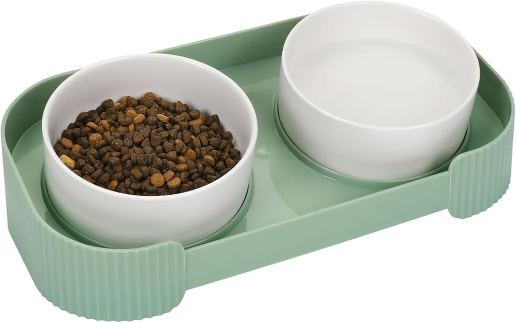 Ceramic Elevated Cat Bowls – Anti Vomit Feeding Set