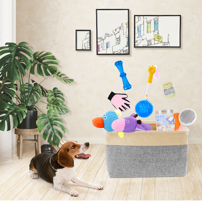 Fashion Dog Plush Toys – Squeaky Game Fun