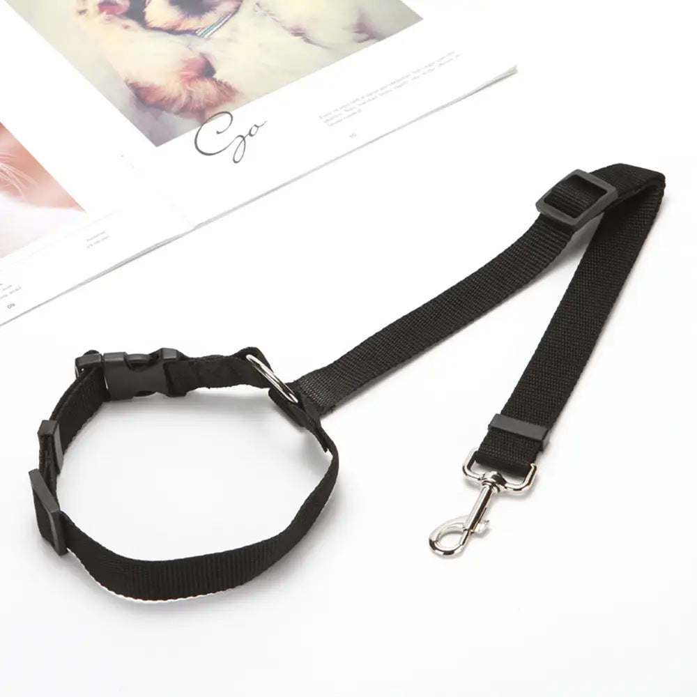Dog & Cat Car Seat Belt – Travel Safely Anywhere
