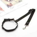 Dog & Cat Car Seat Belt – Travel Safely Anywhere