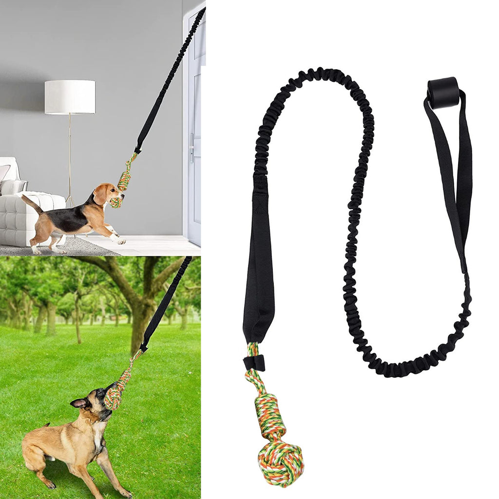 Dog Tug of War Rope – Teeth Grinding Toy